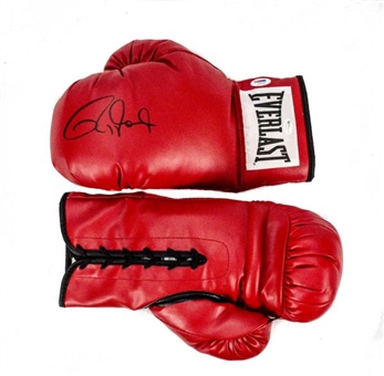 Lot of (10) Roy Jones Jr. Autographed Boxing Gloves